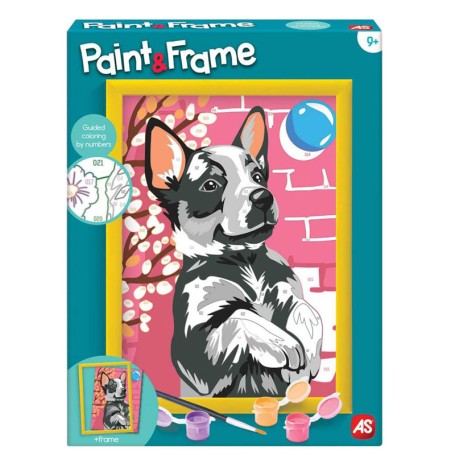 SET PITTURA PAINT E FRAME CON HUSKY AS 41013