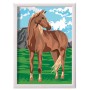 SET PITTURA PAINT E FRAME CON CAVALLO SELVAGGIO AS 41015