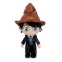 PELUCHE HARRY POTTER 30 CM HARRY POTTER CON CAPPELLO PTS 760020972